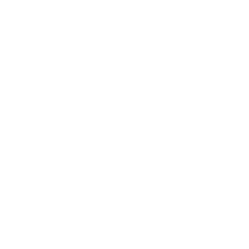 Established 2024